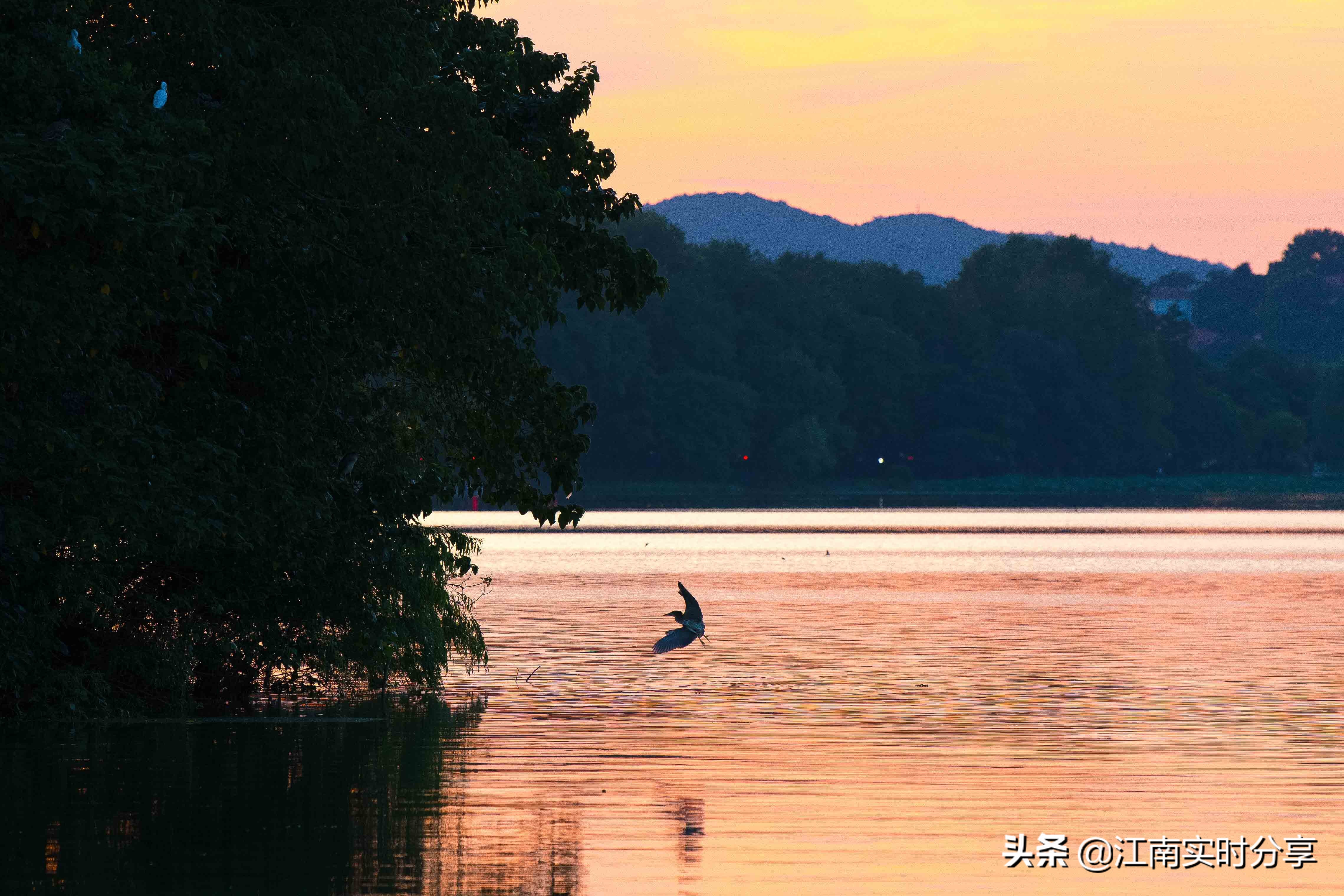 无锡自驾旅游景点推荐一日游攻略,无锡暑期旅游攻略