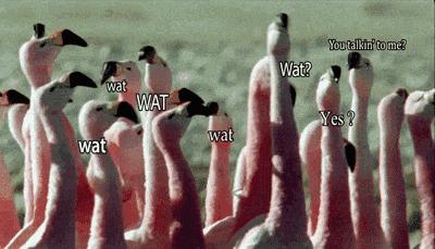 哈佛大学的招生官,哈佛大学录取看重什么能力