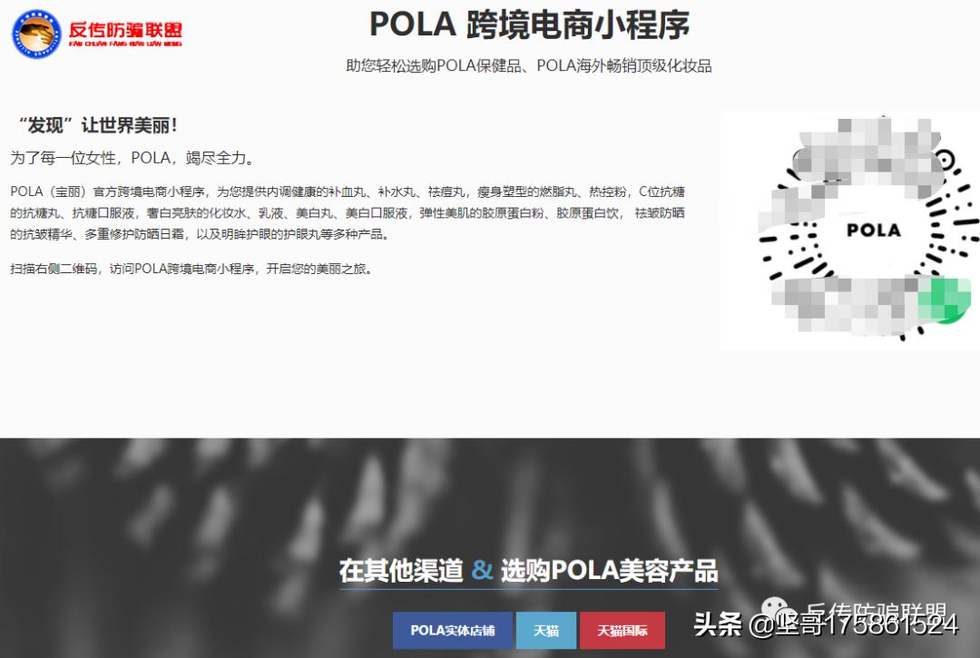 日本宝丽滋,日本宝丽的发展经历