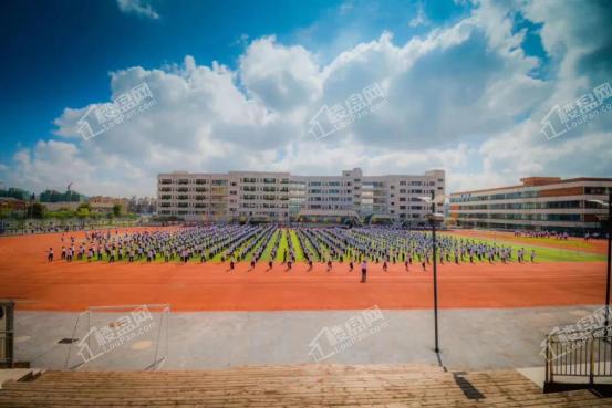 贵阳的民办高中有哪些,贵阳南明区民办高中有哪些