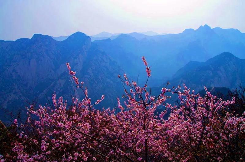 陕西华山黑龙潭,华山黑龙潭在哪个峰