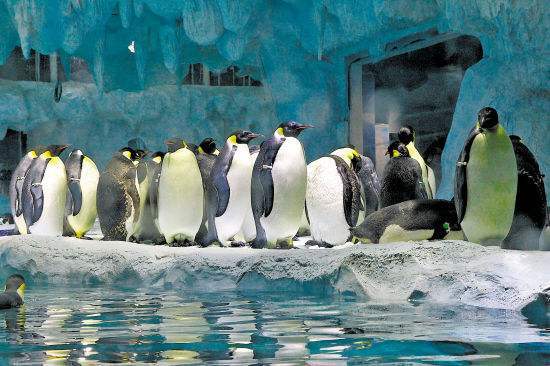 珠海长隆2天一夜吃住行攻略,珠海长隆两天一晚游攻略