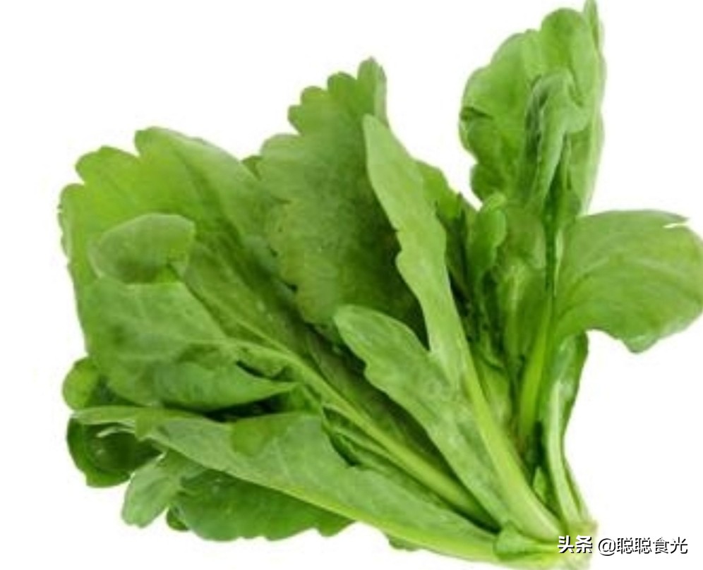 大叶茼蒿和茼蒿的区别,大叶茼蒿和小叶哪种好