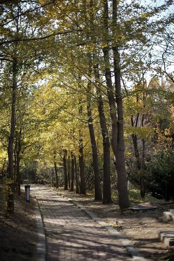 大连棒棰岛风景区门票多少钱,大连棒棰岛现在对外免费开放吗