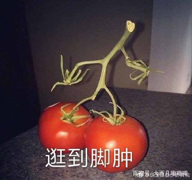 那我怎么办表情包可爱,表情包我怎么发不出去