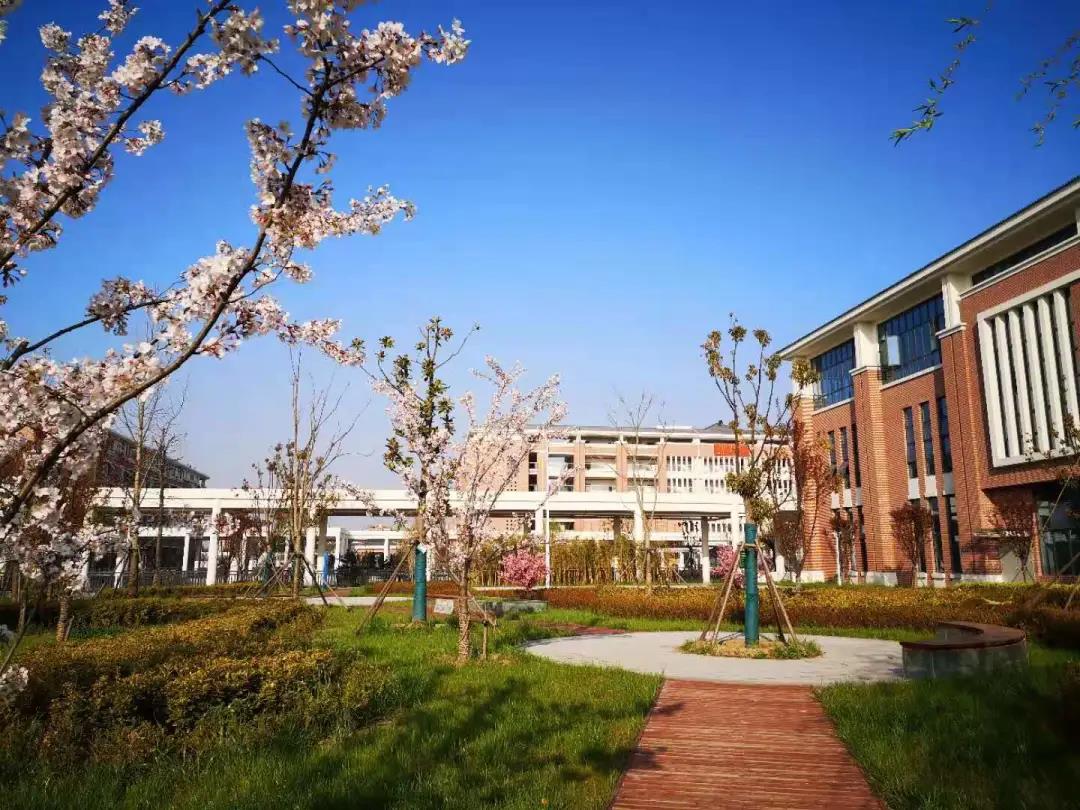 淮安贵族学校一年学费多少钱,淮安学校学费排行榜