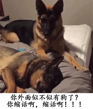 贾玲在沙发上翘二郎腿搞笑图片,贾玲跷二郎腿动图下载