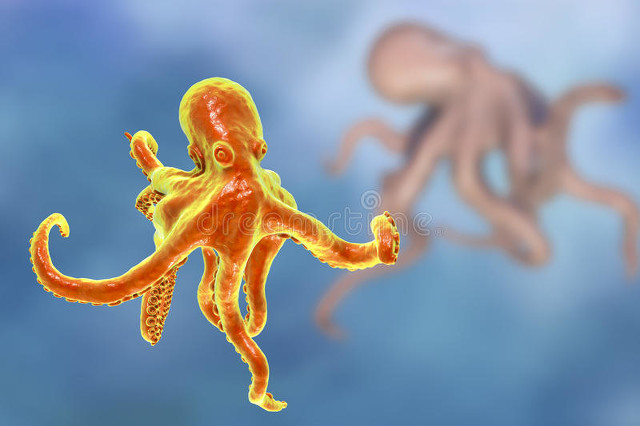 章鱼是生物探测器吗,多国科学家研究章鱼