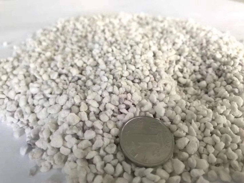 多肉植物能不能晒太阳和浇水,多肉植物太阳不直晒颜色就长不好