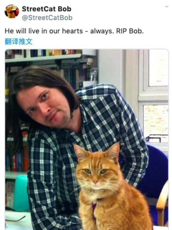 四字弟弟和四字哥哥,四字弟弟和三字弟弟互撕