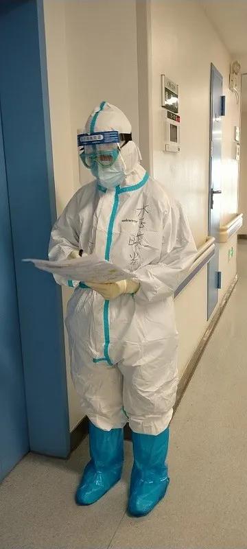 美丽迎春花开了,迎春花盛开的绝美春日盛景