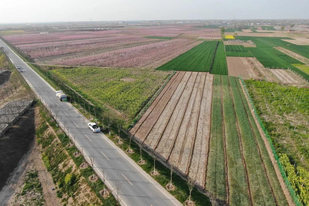 新乡市平原示范区土地,新乡平原示范区小镇