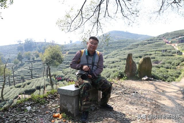 祁门红茶和滇红红茶有什么区别,祁门红茶在红茶中什么地位最高