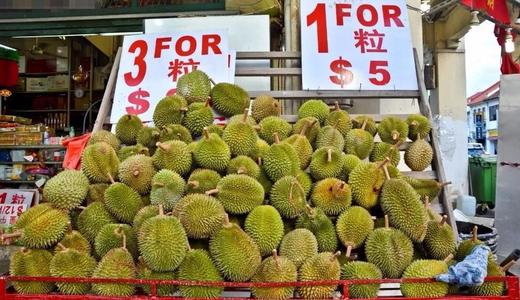 新加坡榴莲季,新加坡榴莲价格
