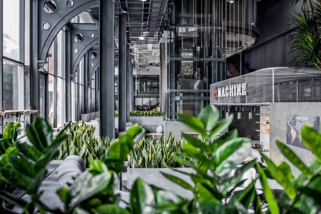 成都东郊记忆之前的样子,成都东郊记忆全景