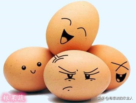 人造鸡蛋与真鸡蛋的辨别方法,人造鸡蛋与真鸡蛋的鉴别方法