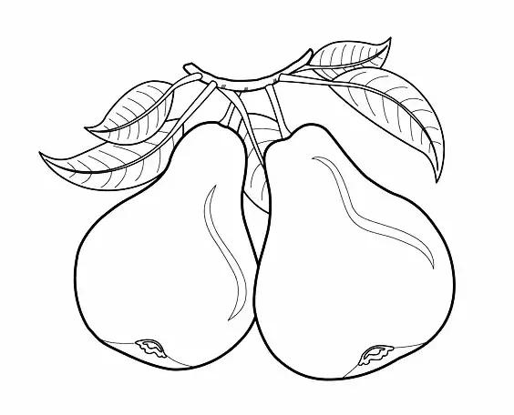 简笔画可爱蔬菜,简笔画简单易学幼儿蔬菜