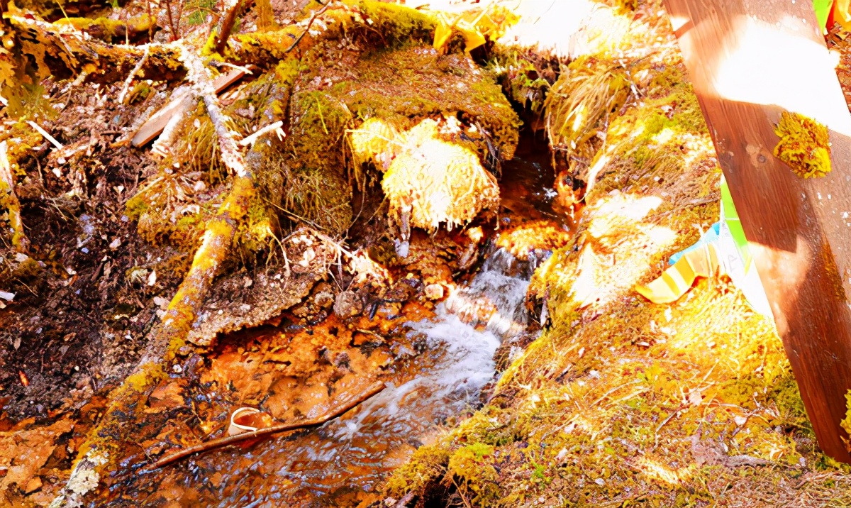 九寨沟最美的一处景点,九寨沟风景区好山好水好风光