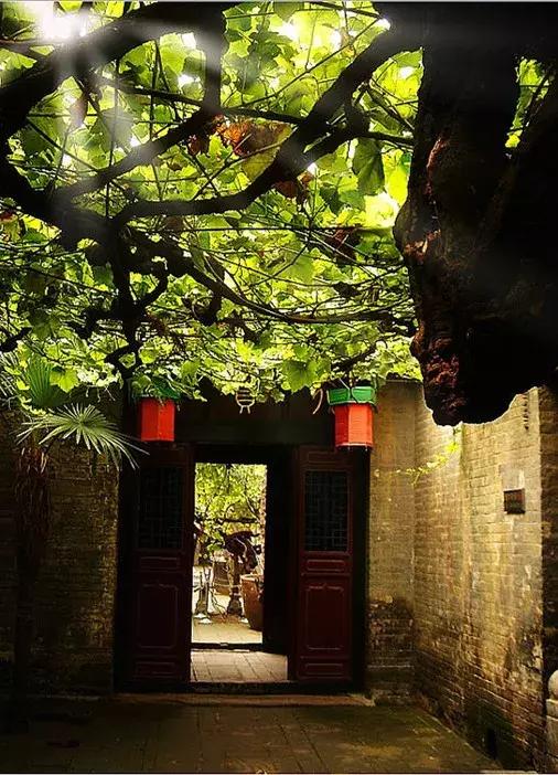 巩义母亲节景区免门票,巩义母亲节免费景点