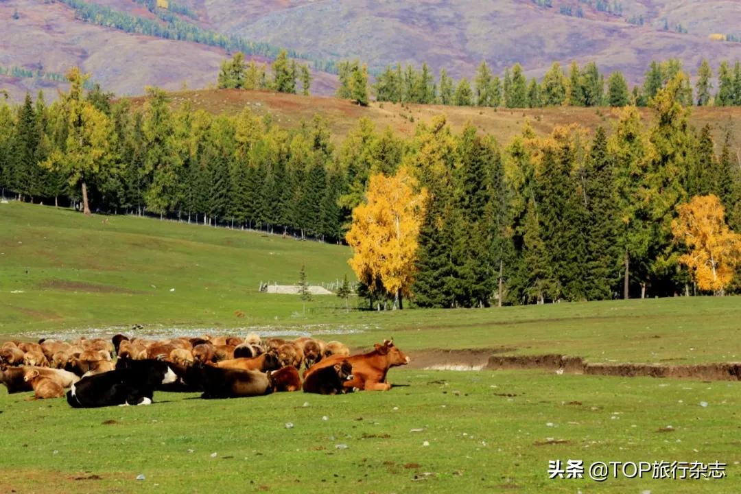 猝不及防,2020进度条已拉到50%!下半年最佳旅行时间表出炉,在最合适的时间去遇见对的风景吧