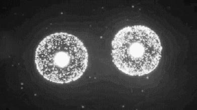 国外神经干细胞研究的最新进展,干细胞治愈糖尿病最新研究进展