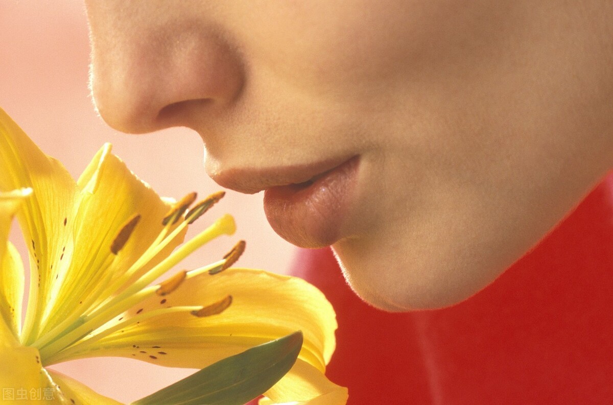 4000英语核心单词,4000核心英语词汇中文版