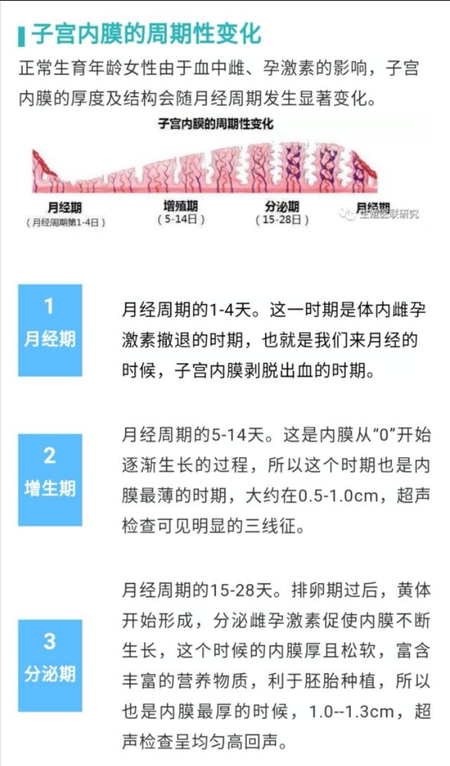 认识宫腔镜,了解子宫内膜