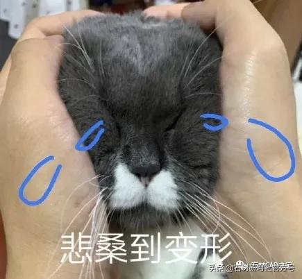 cad标注关联后移动后怎么乱跑,cad标注怎么和线解除关联