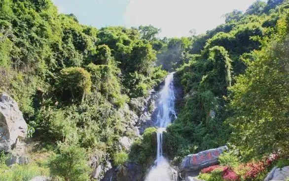 深圳新添大型高颜值公园,深圳最近新开放的公园