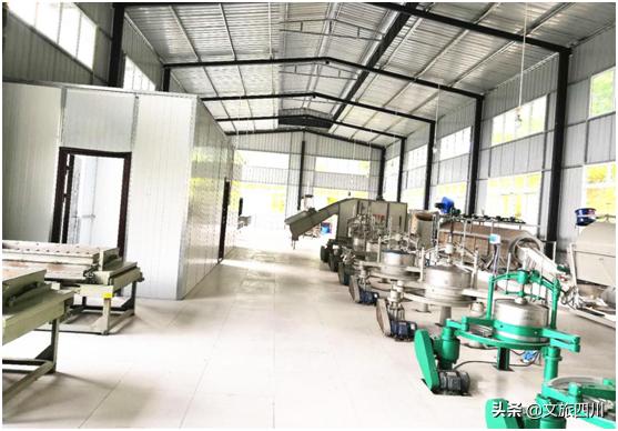 勇于创新创业致力发展有机茶的优秀女企业家——鲁润