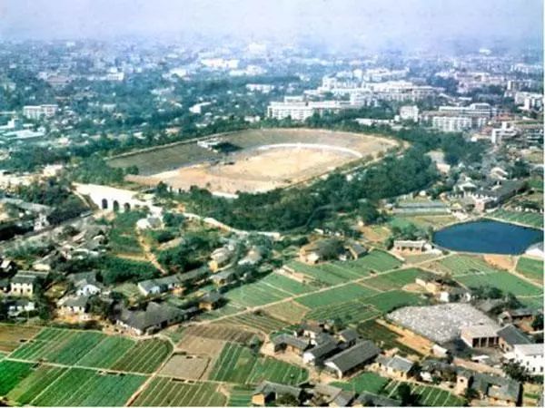 从顽劣少年到一代枭雄,从懵懂无知的顽童到青年