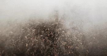 吃不起涪陵榨菜后续,吃不起榨菜完整版