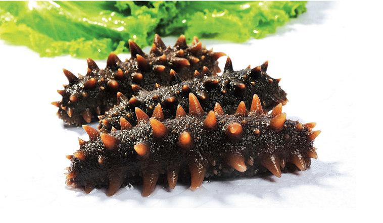 老人吃海参补肾真的有效吗,吃海参能美容抗衰老