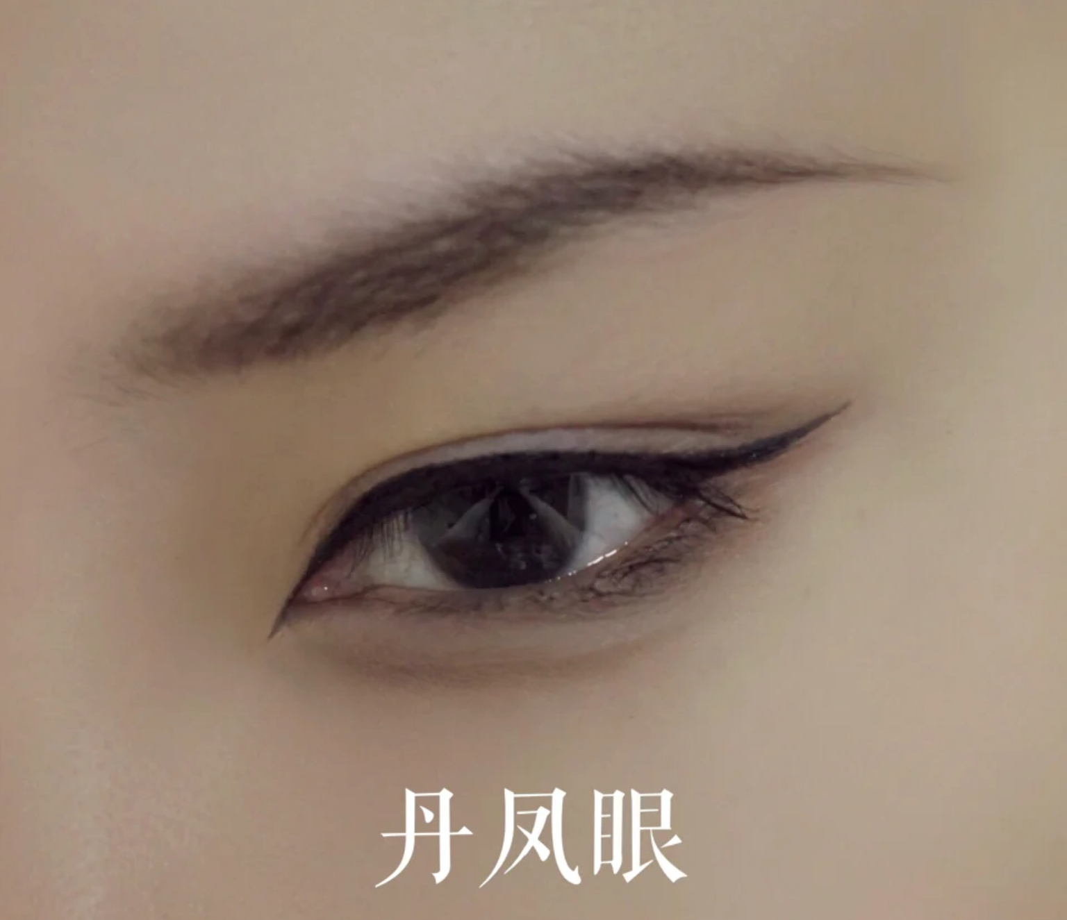 什么样的眼睛是桃花眼杏眼丹凤眼,桃花眼丹凤眼杏眼狐狸眼是怎样的