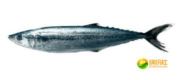 舟山海鲜攻略2天1晚住宿自由行,舟山最好的海鲜