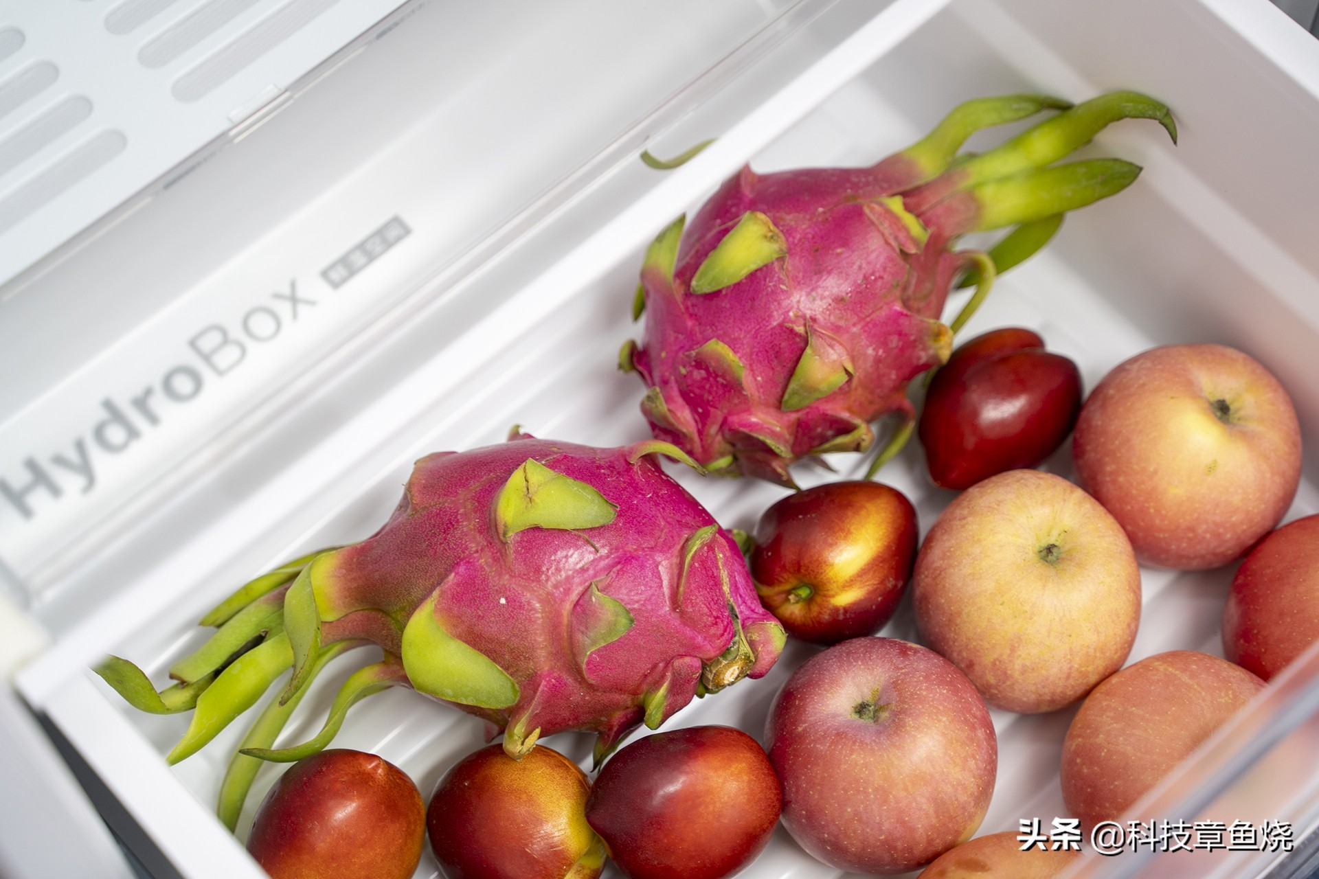 博世活氧对开门冰箱测评,博世双开门冰箱零度保鲜