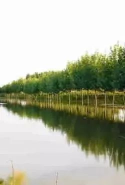 蠡县旅游必看景点,旅游景点推荐保定蠡县