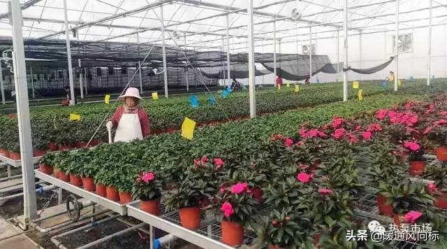 温室大棚怎么供热,温室加温系统计算