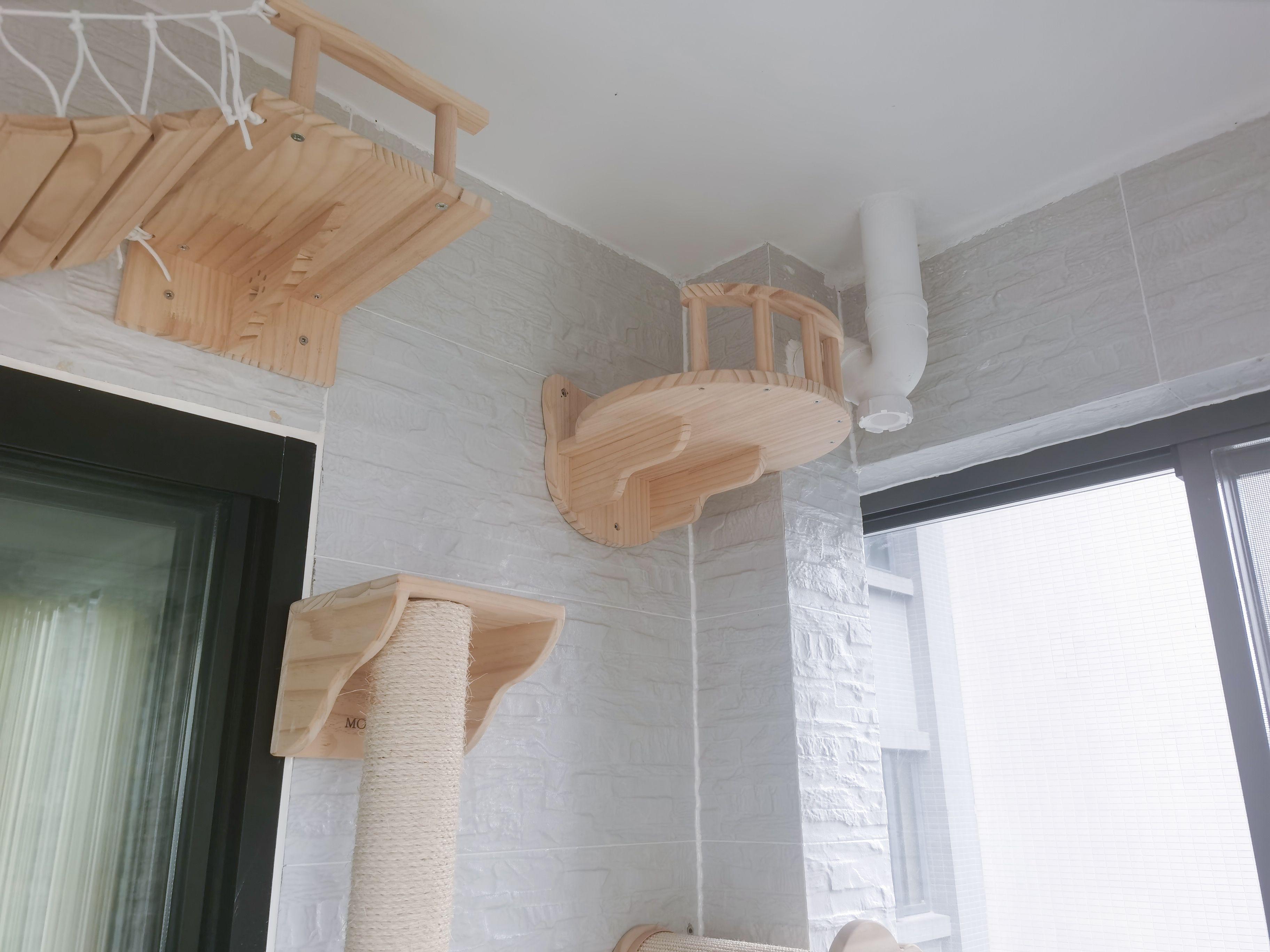 打造人宠共乐的家—“铲S官”的装修笔记