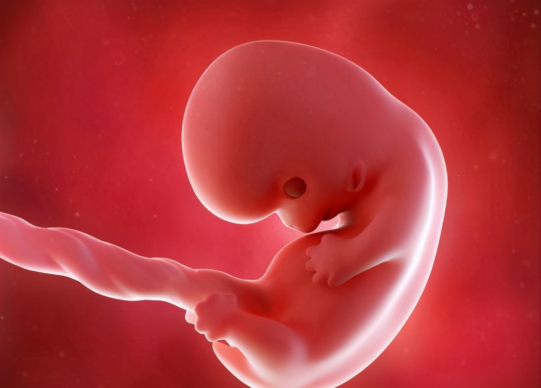 hcg翻倍正常会突然胎停吗,孕七周胸突然不胀了是否胎停