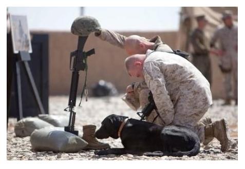 美国士兵死亡可以拿多少抚恤金 (美军抚恤金补偿标准)