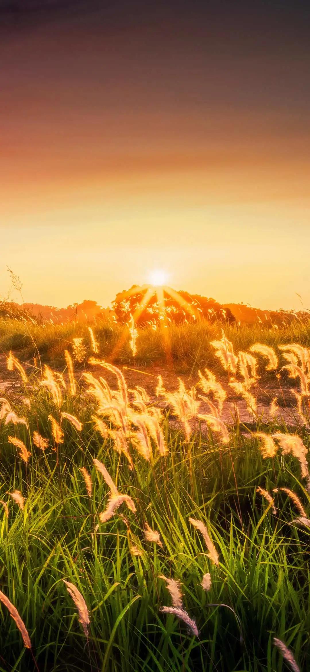 3d壁纸卡通风景壁纸,高清风景壁纸手机壁纸