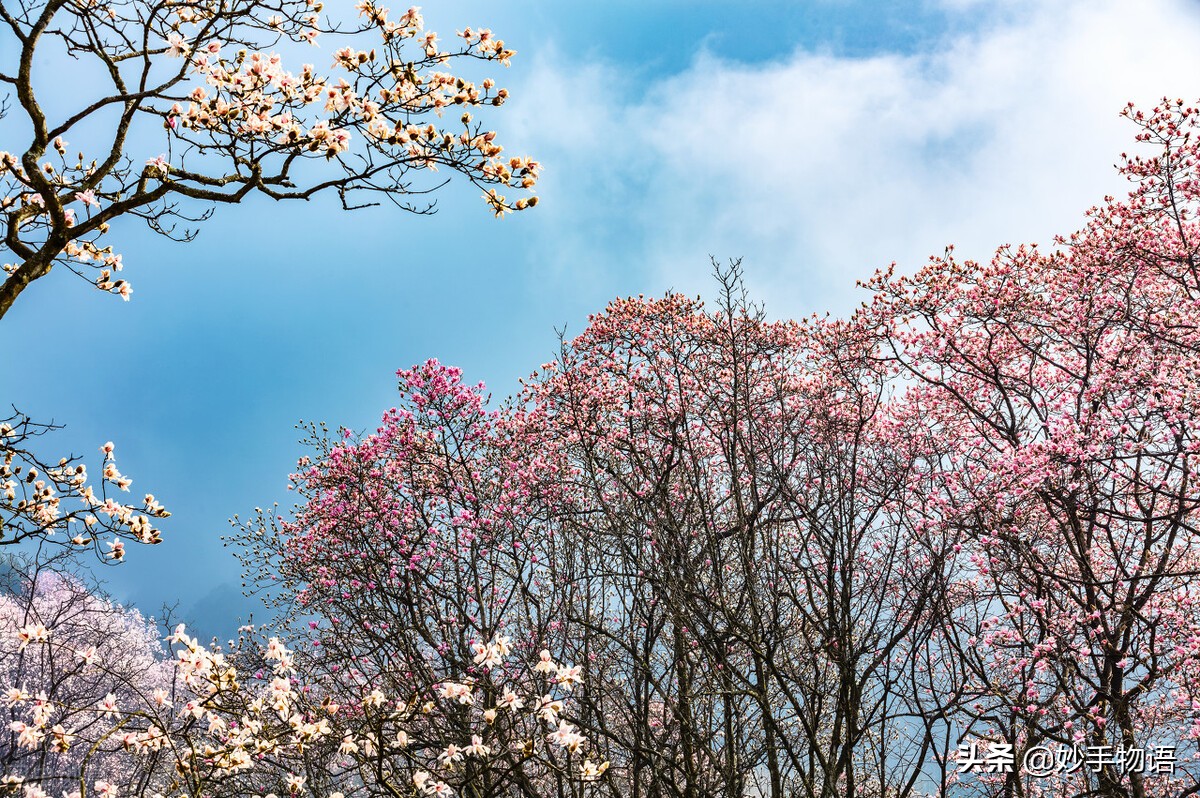 不管有没有爱情都要活好自己,不管有没有爱情都一个人好好生活