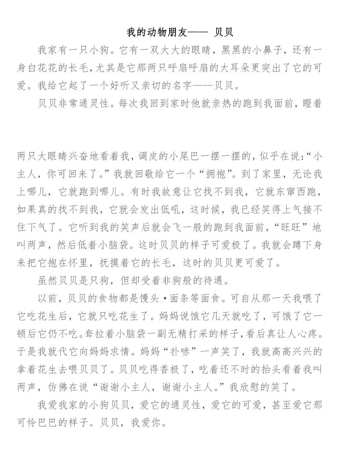 我的动物朋友四年级优秀作文500字,我的动物朋友四年级下册300字作文