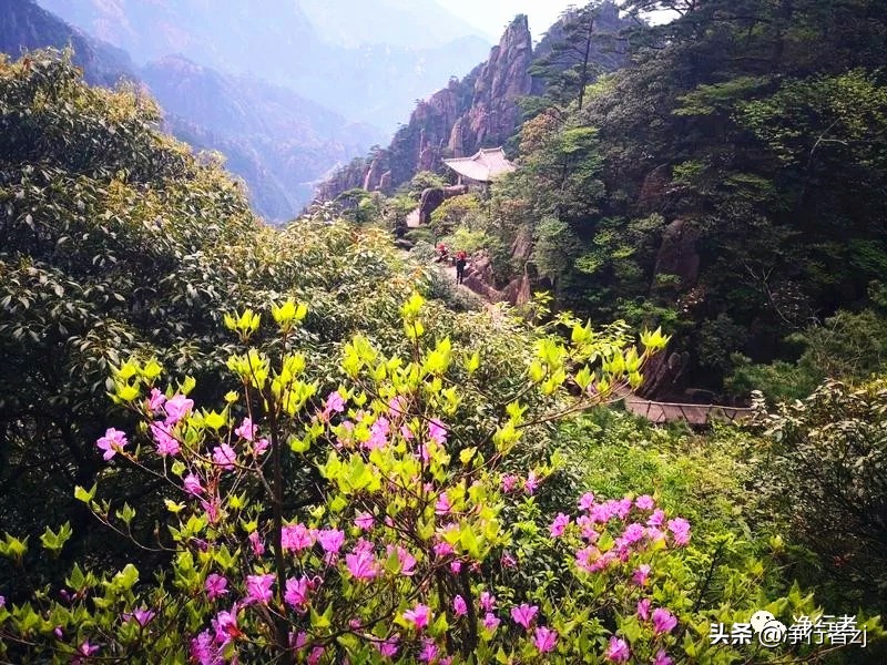 原创天下第一上联,天下第一原创