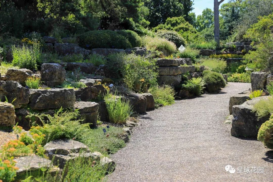 二木带你游花园|邱园（kewgarden）离我们到底有多远？