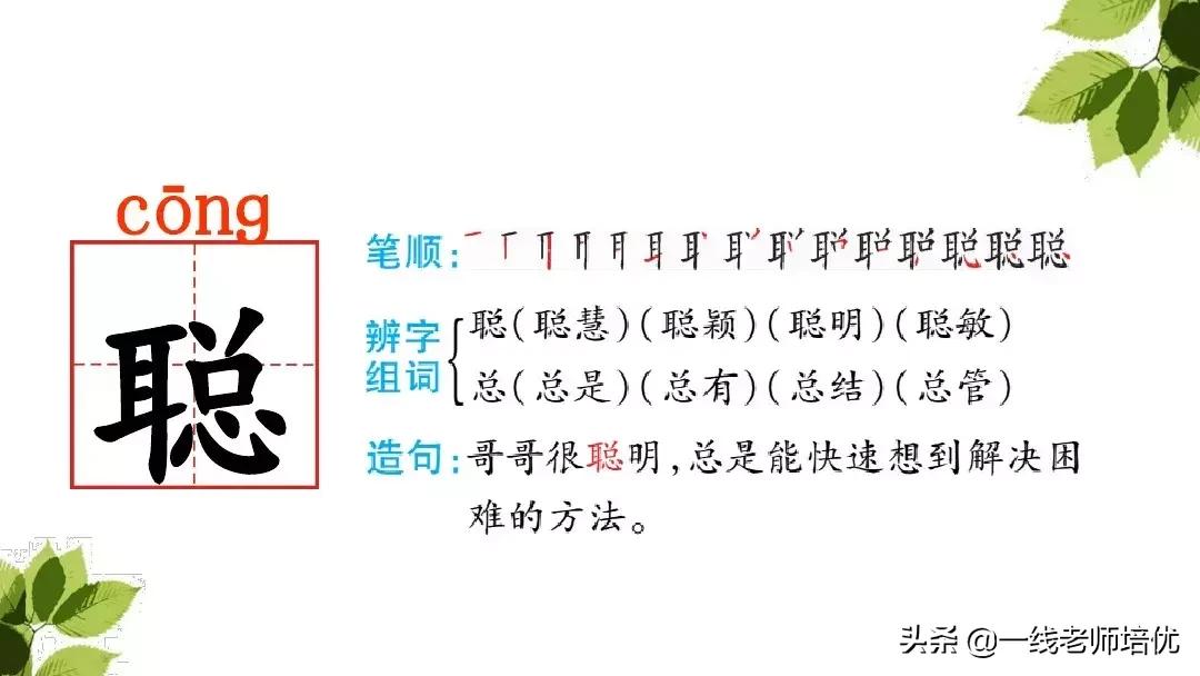 带刺的朋友三年级上册,三年级语文带刺的朋友课文知识点