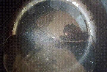 30分钟做大餐！奶爸的米家智能电压力锅使用体验