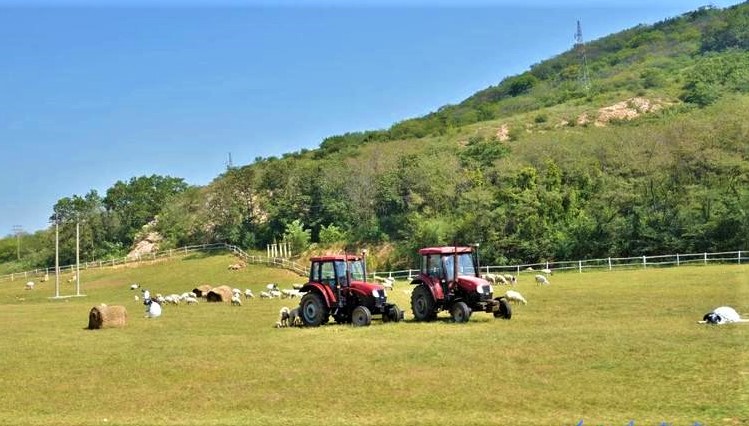 大连铭湖牧场一日游攻略,大连铭湖牧场观光图片