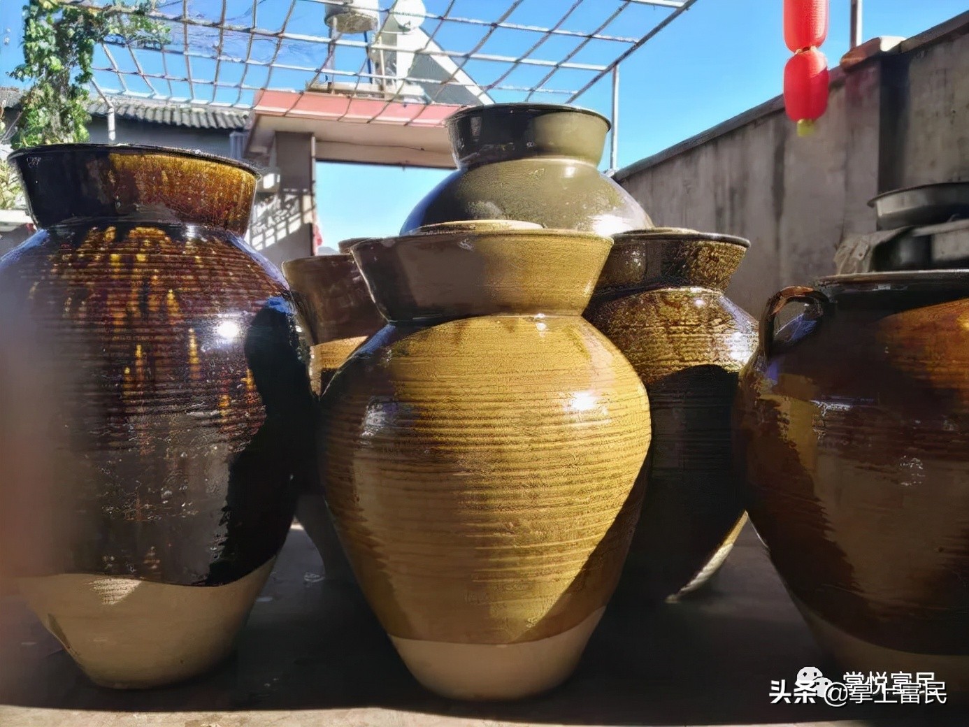 富民腌菜,昆明富民县腌菜